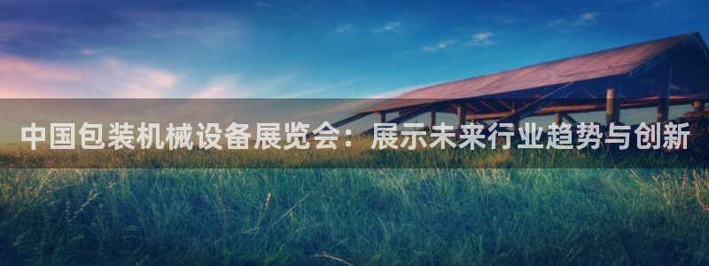 九游会ag真人官网i