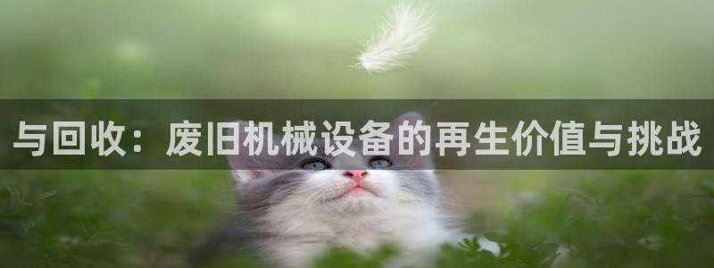j9九游会黑网