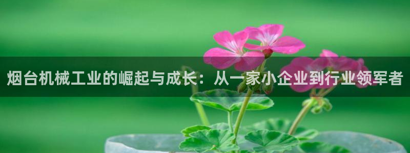 九游会j9