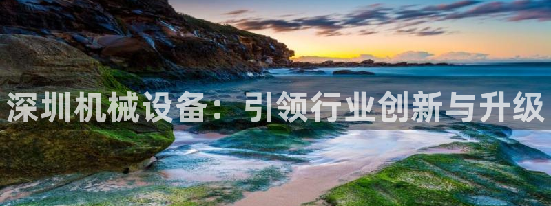 九游会ag真人官网