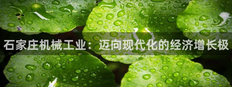 九游会官方在线