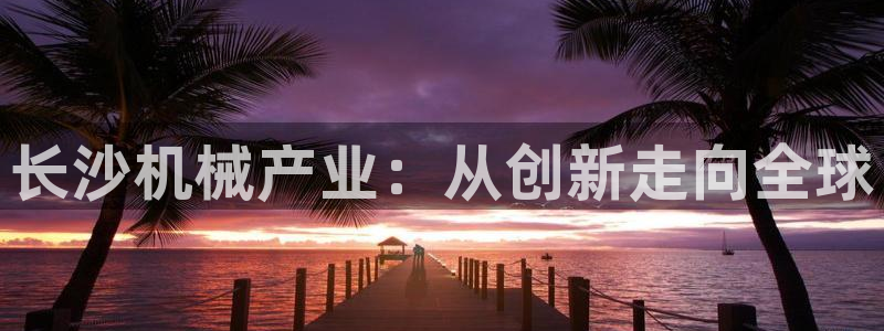 9游会app