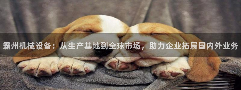九游会官网登录首页|
