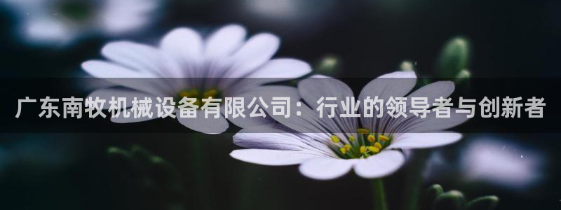 九游会官网入口