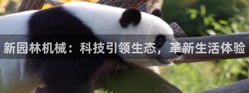 九游会 app下载