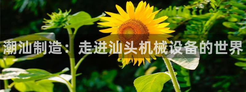 九游会官网j9