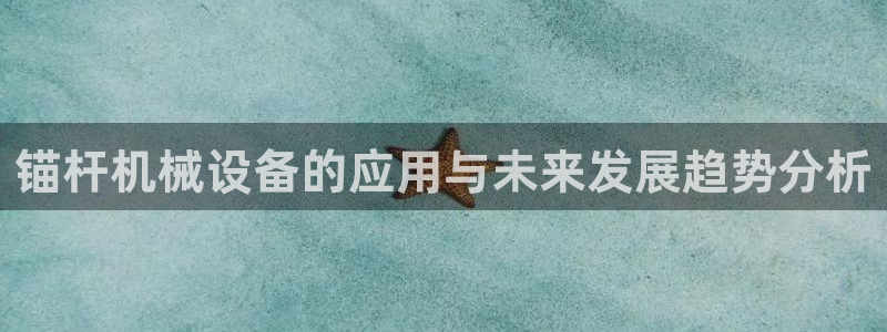 九游会游戏平台：锚杆